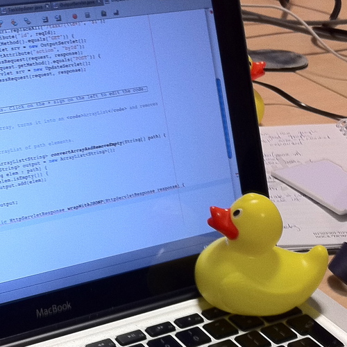 Rubber duck assisting with debugging