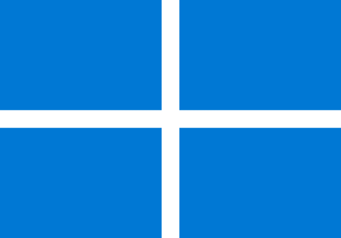 Windows logo - 2021